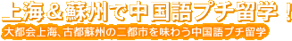 ��C���h�B�Œ�����v�`���w�I